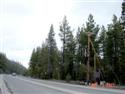 Cingular pole along Hwy 89