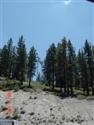Tower on Spooner Summit